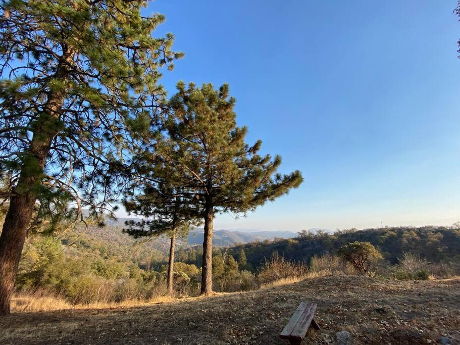 Modern Airstream With Amazing View - 10 To 15 Minutes From Kings Canyon National Park Dunlap Exterior foto